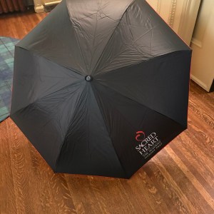Upside Down Umbrella